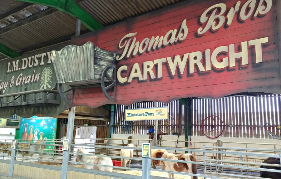 Inside the farm at Folly Farm