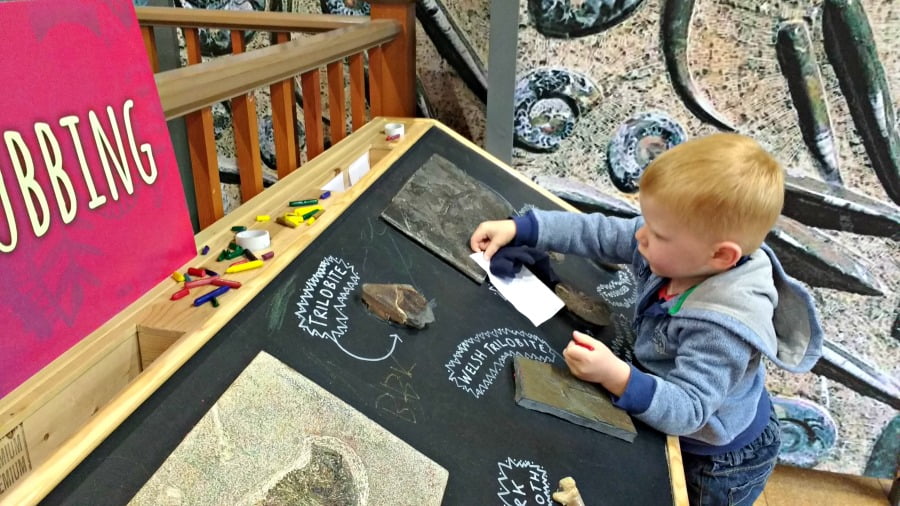 Fossil Rubbing in the Fossil Factory at the Heights of Abraham