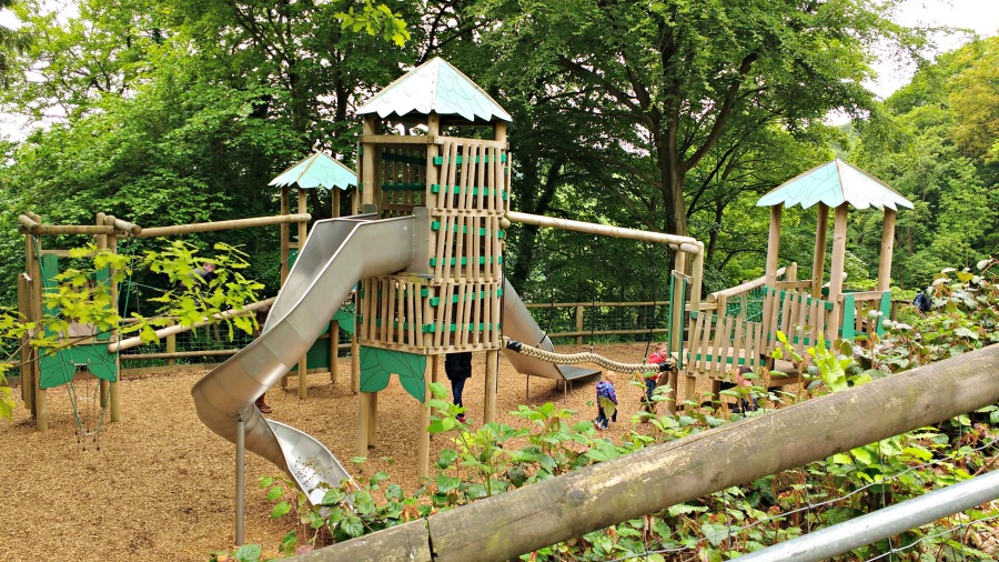 The Woodland Playground at the Heights of Abraham