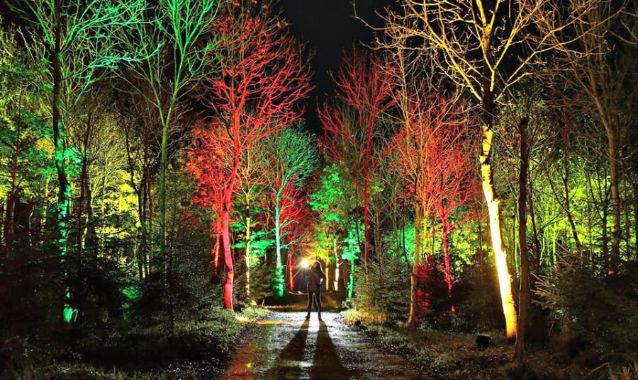 Santa&rsquo;s Woodland Experience Scotland