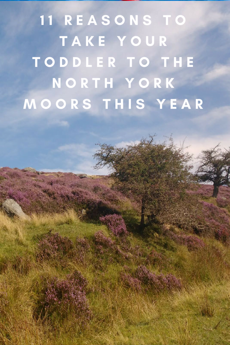 11 REASoNS TO take your toddler to the north york moors this year (1)