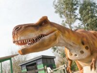 Dinosaur Days Out for toddlers