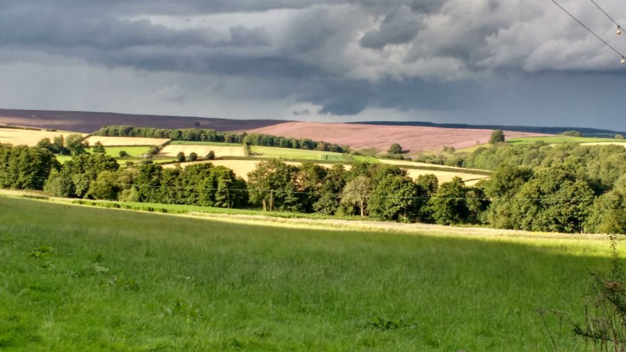 The North York Moors with toddlers