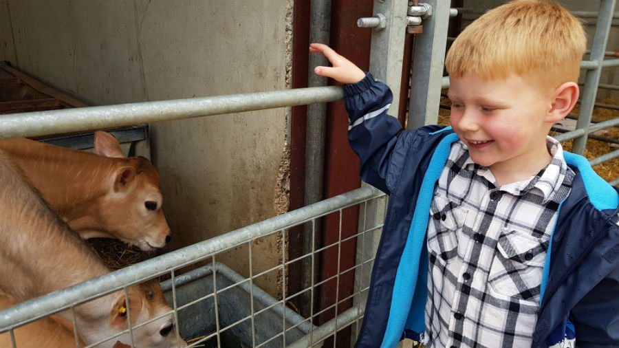 Harrogate with a toddler