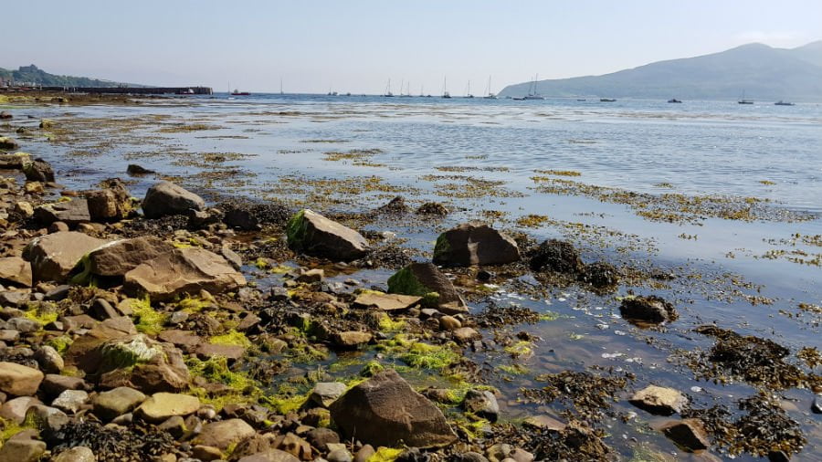 Scottish islands with toddlers