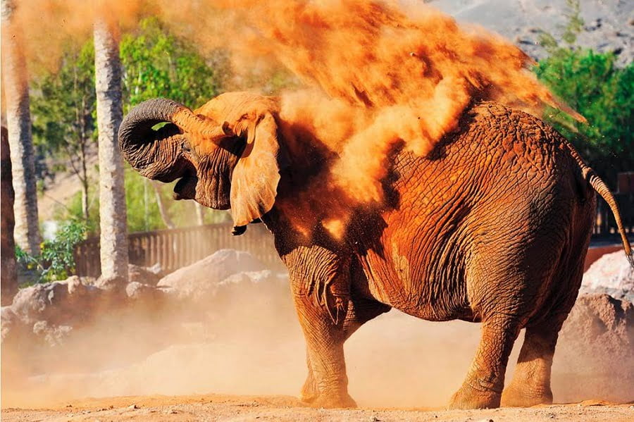 baby and toddler friendly place to stay in fuerteventura