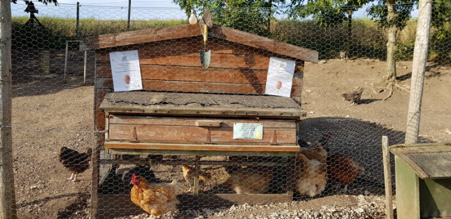 Family Glamping Yorkshire