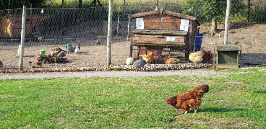 Toddler Friendly Glamping Yorkshire