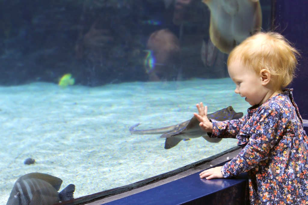 toddler friendly day out yorkshire