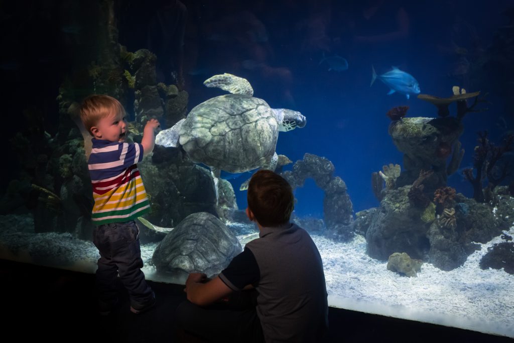 toddler friendly day out yorkshire