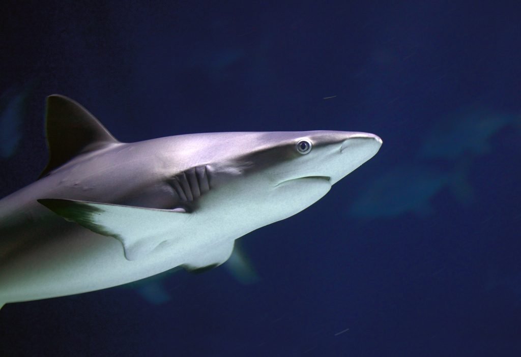 toddler friendly days out yorkshire