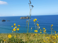 northern ireland road trip