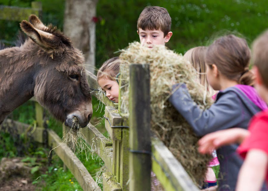 baby and toddler friendly cottages in cornwall close to the beach