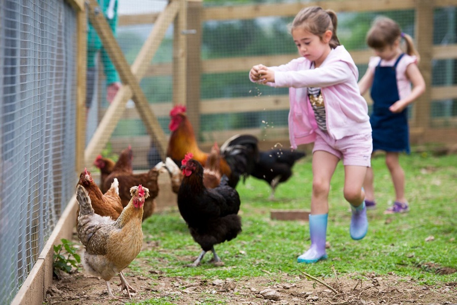 baby and toddler friendly cottages in cornwall close to the beach