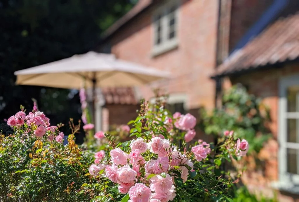 toddler friendly cottage in the new forest