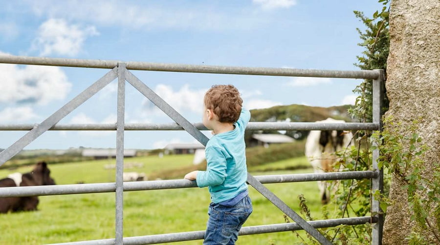 toddler friendly farm stay