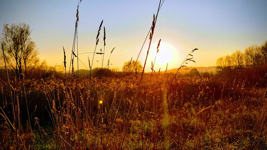 autumn breaks with babies and toddlers