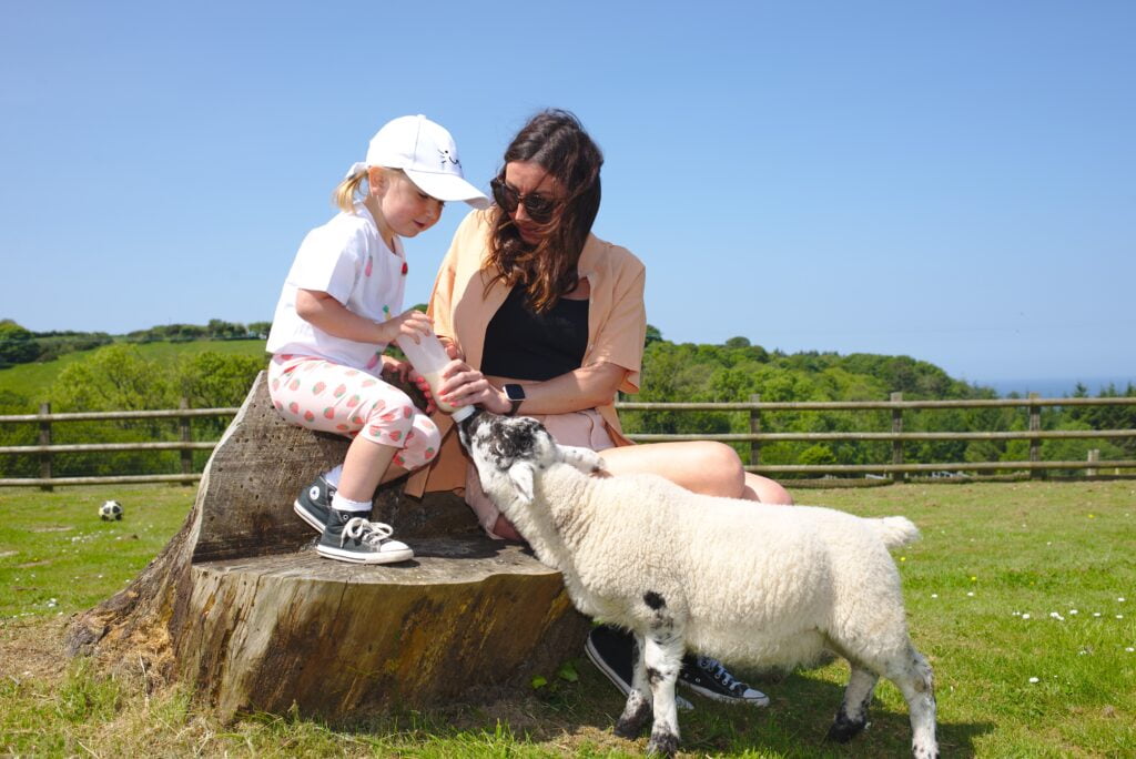 baby and toddler friendly cottages devon 