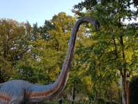 presents for dinosaur loving toddlers