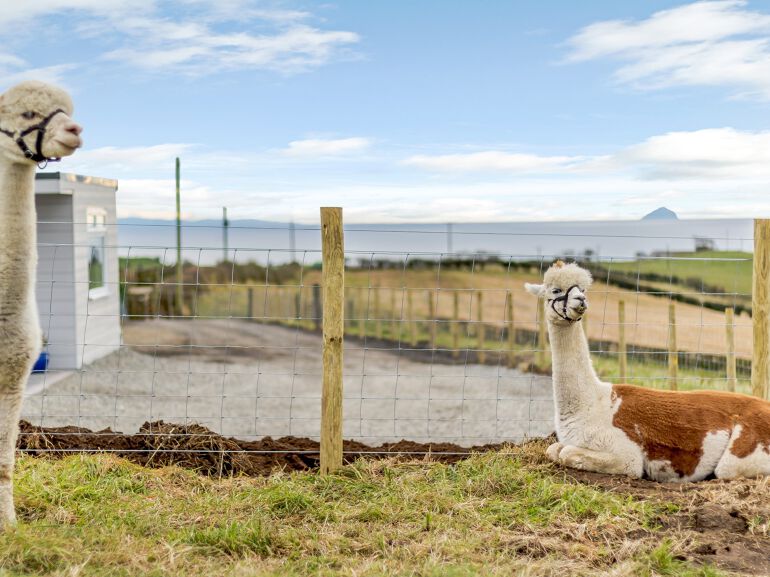 baby and toddler friendly place to stay in scotland