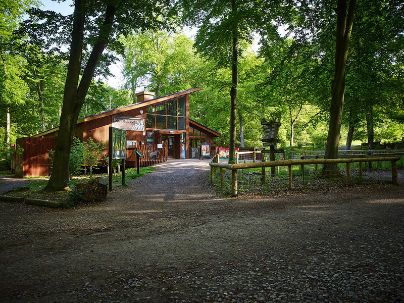 holiday parks for babies and toddlers