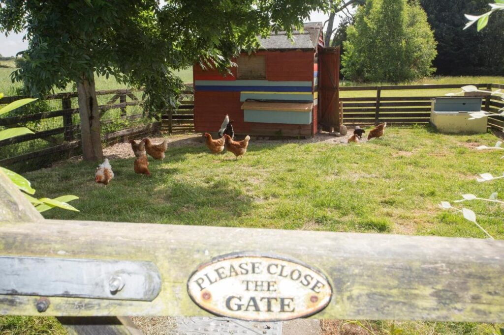 baby and toddler friendly cottages in ireland