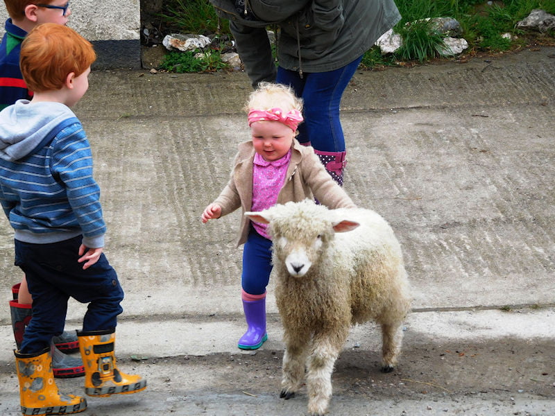 toddler friendly farm stay devon​