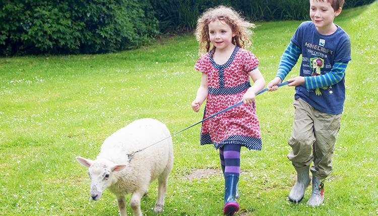 toddler friendly farm stay devon