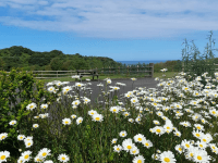 lower campscott farm