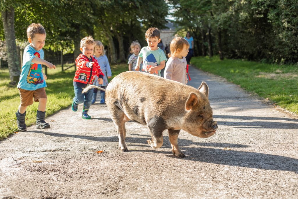 spring breaks for babies and toddlers