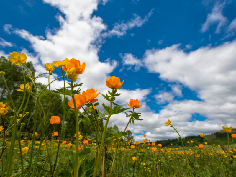 spring breaks for babies and toddlers