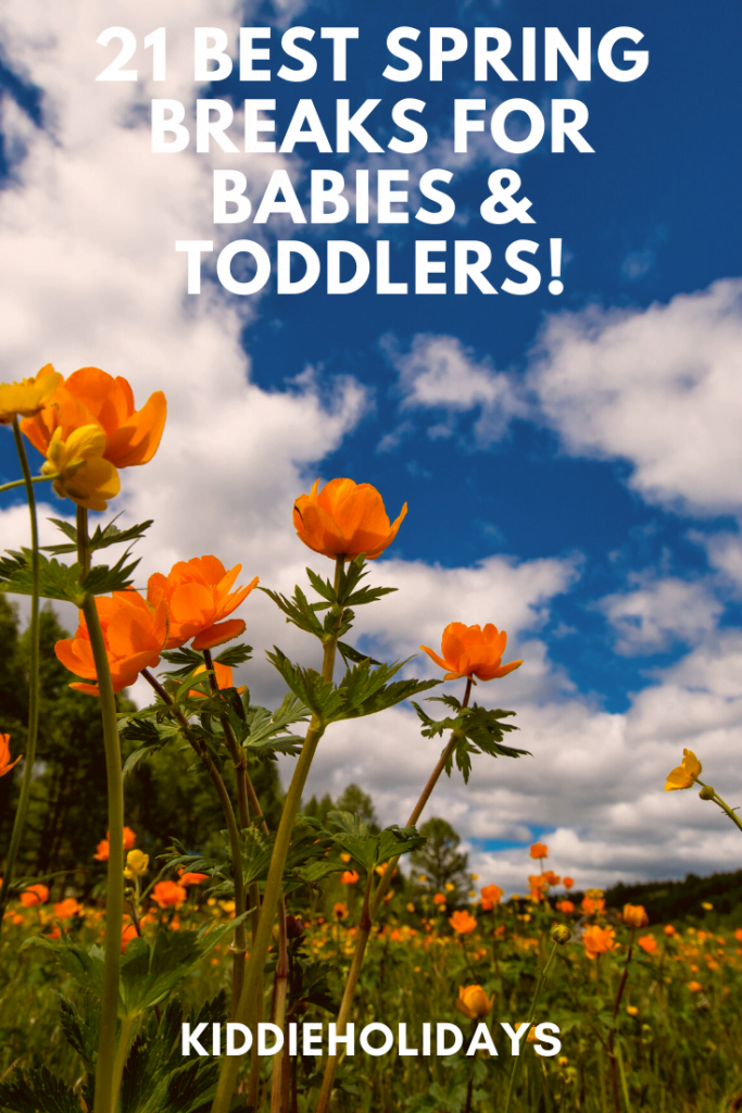 spring breaks for babies and toddlers