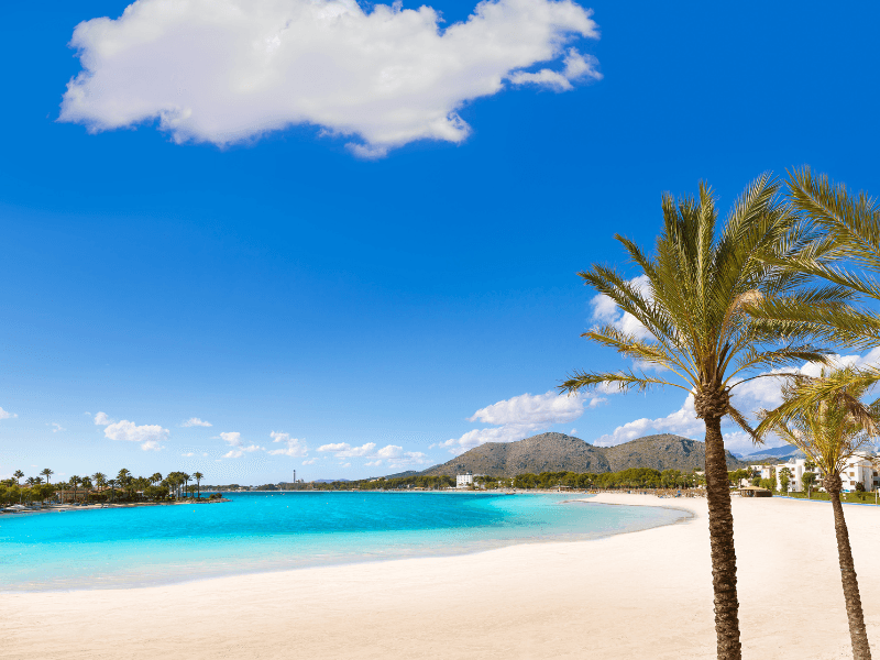 alcudia majorca