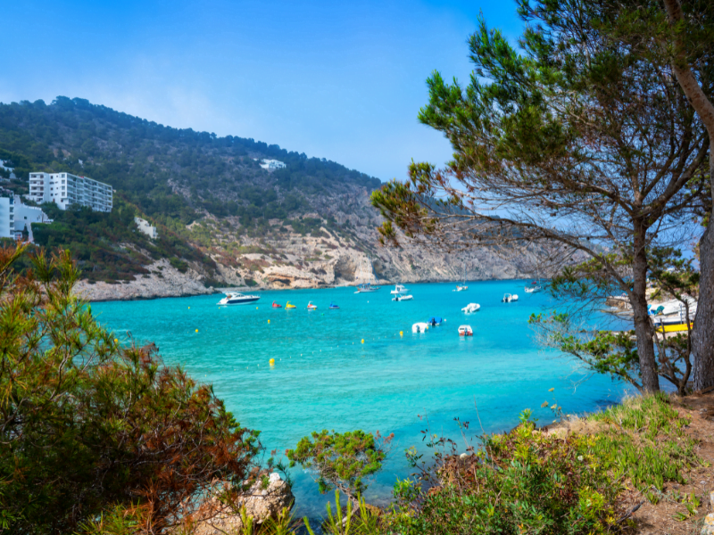 family guide to ibiza