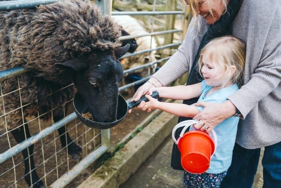 baby and toddler friendly cottage devon